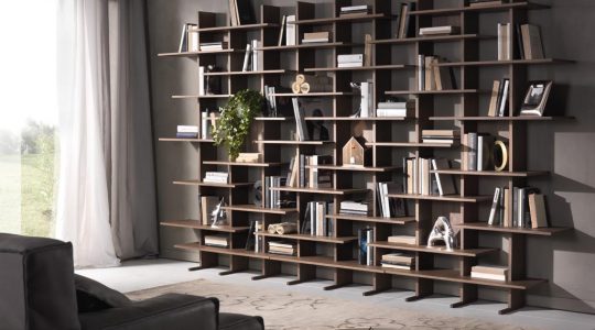 CT46_PACINI&CAPPELLINI_LibreriaElisabeth